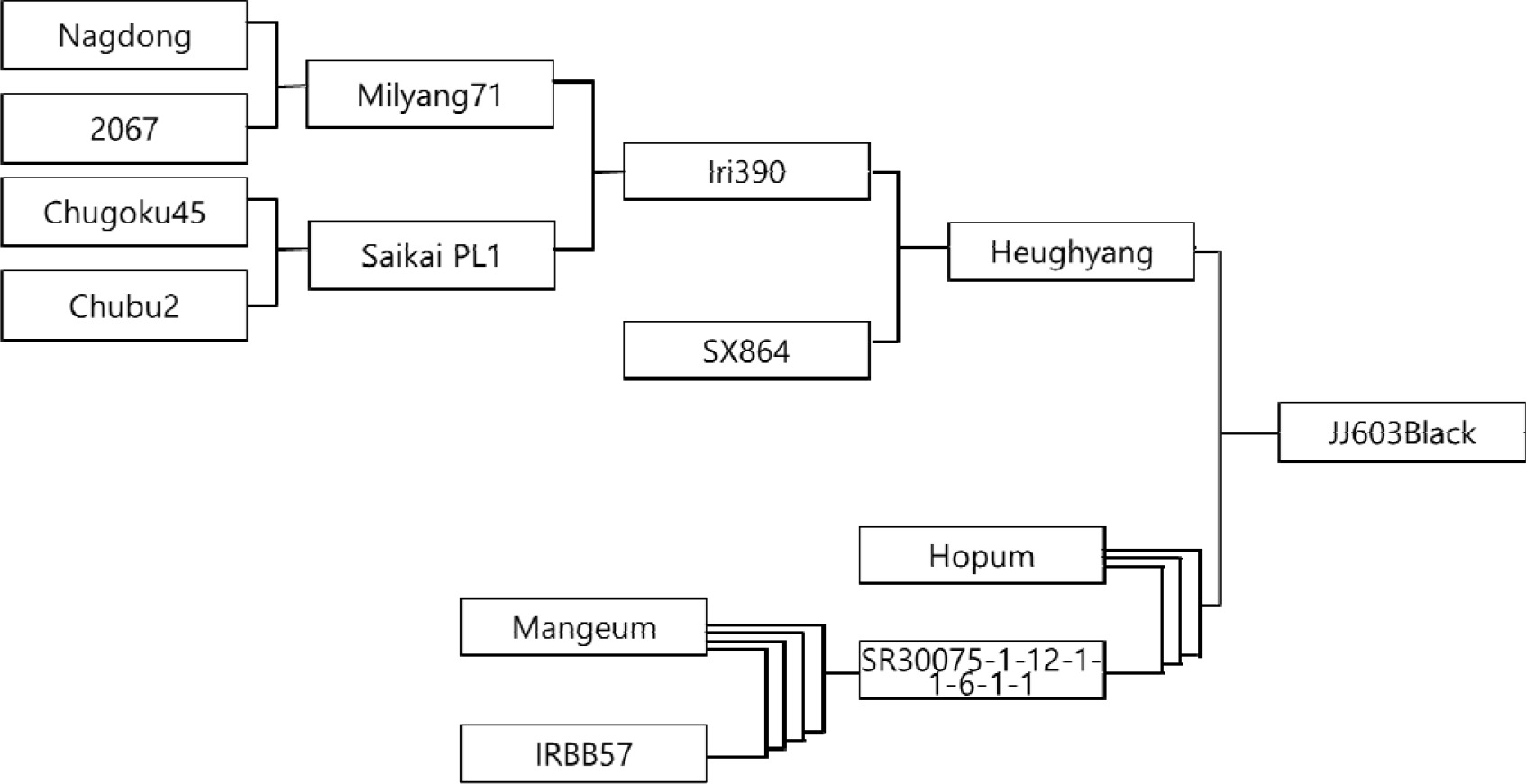 kjbs-54-4-395-f1.jpg