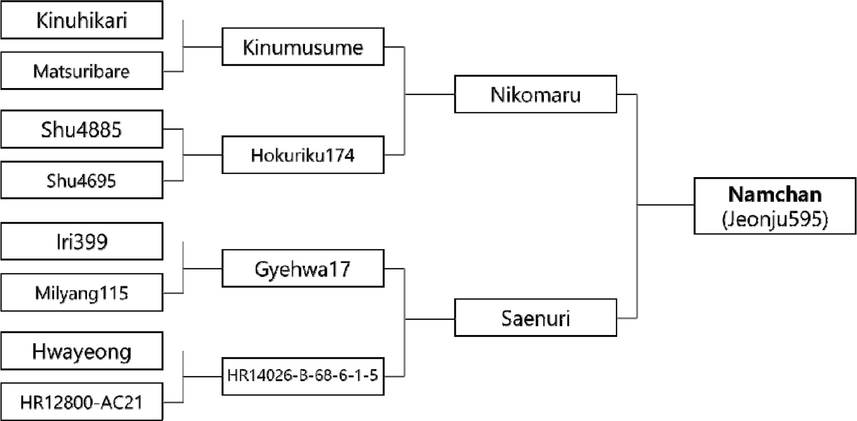 kjbs-55-4-389-f1.jpg