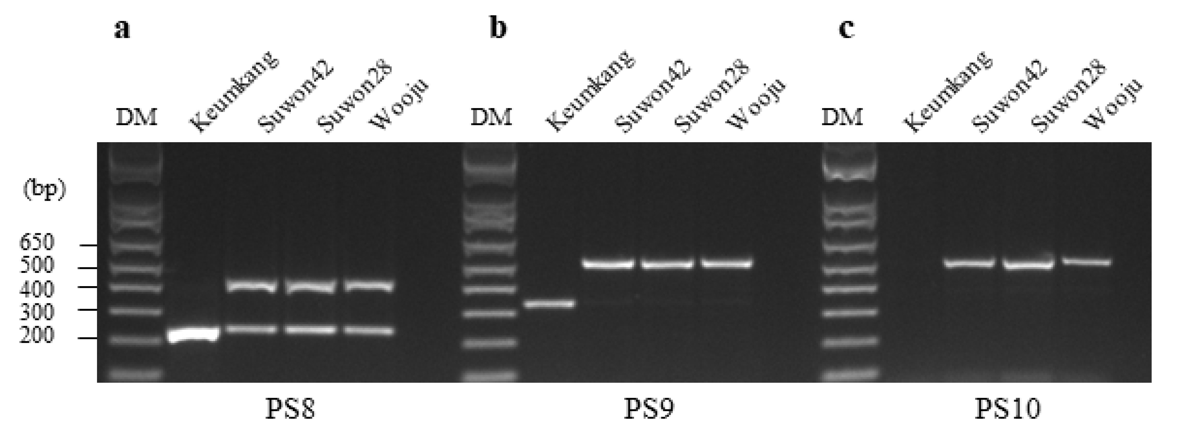 kjbs-56-3-257-f2.jpg