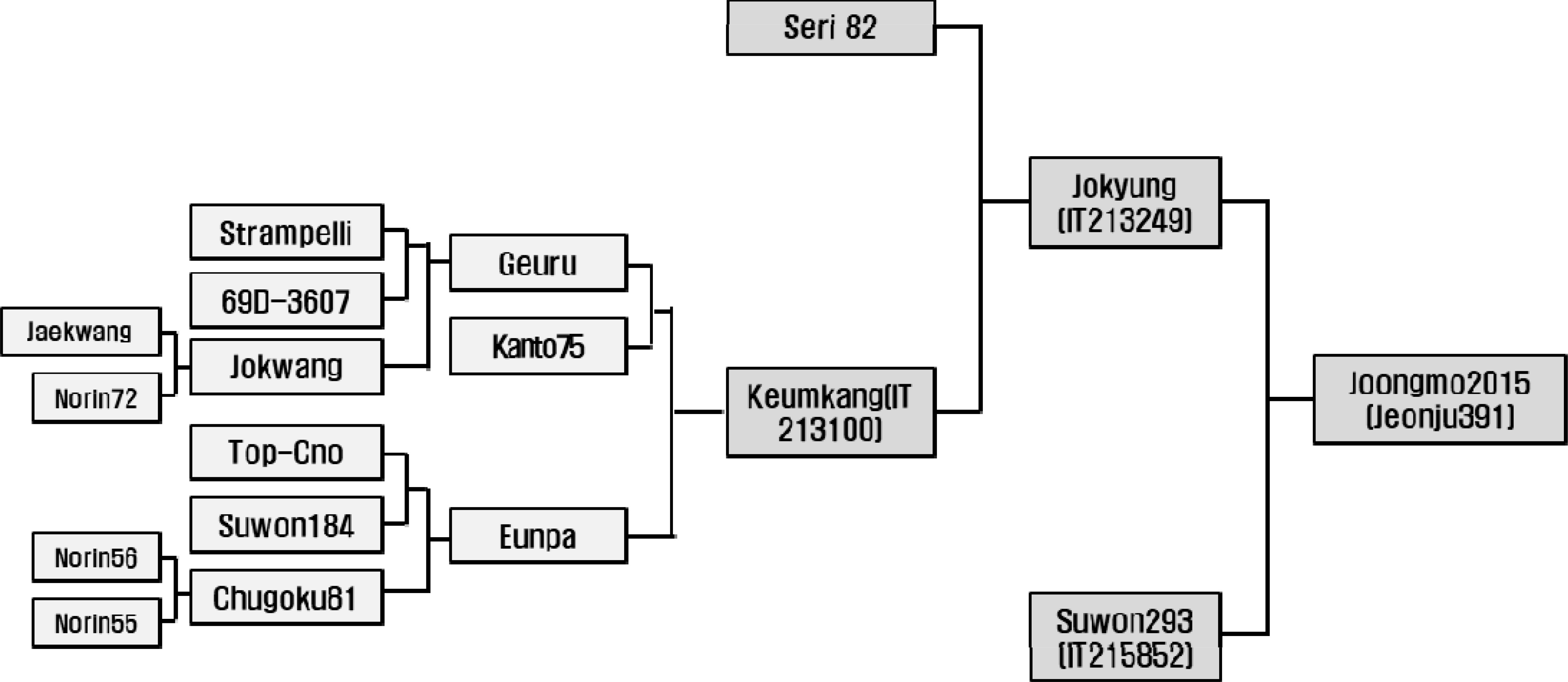 kjbs-56-3-371-f1.jpg