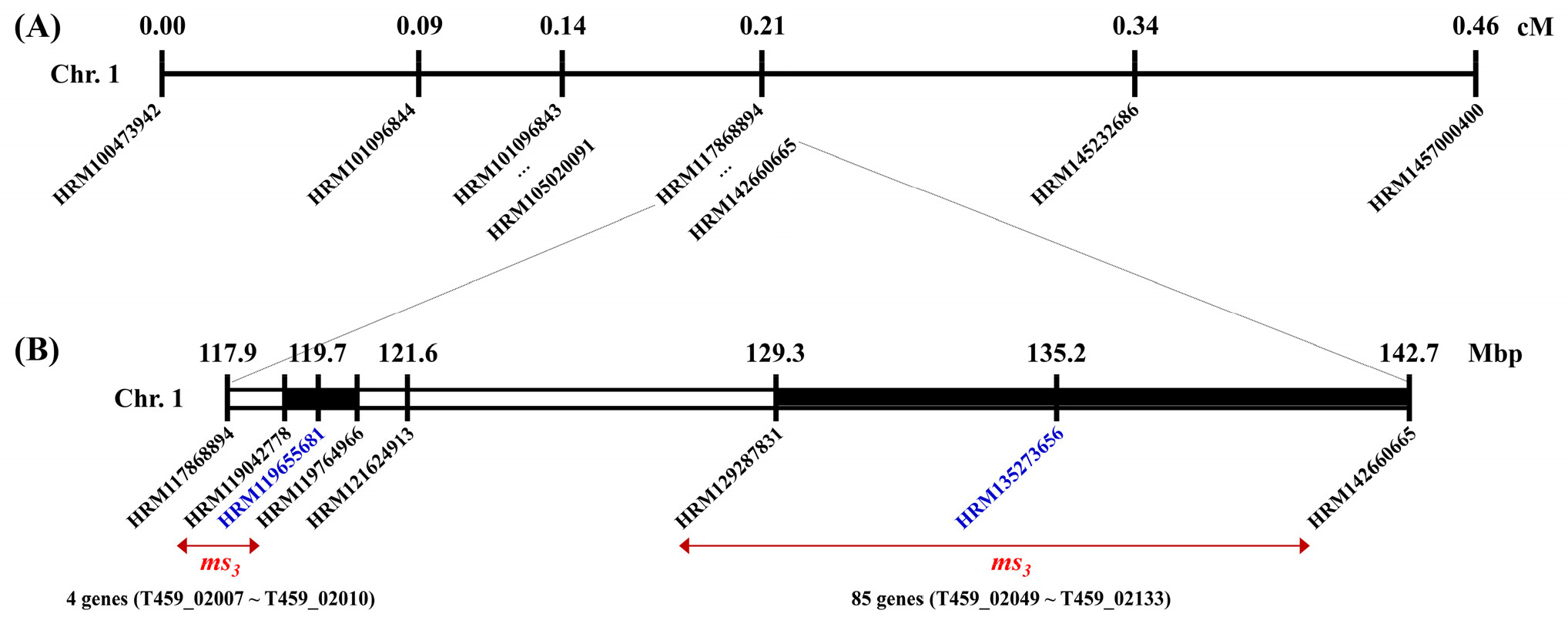 kjbs-57-4-391-f3.jpg