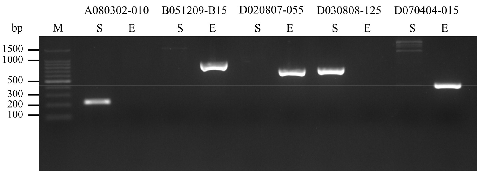 kjbs-58-1-87-f3.jpg